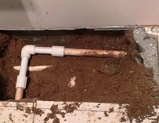 杭州测漏水哪家好