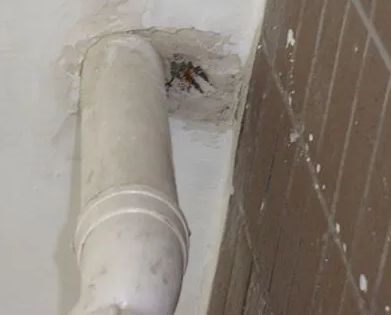 杭州漏水检测哪家好